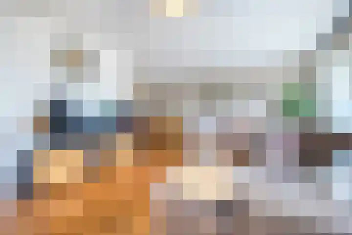 Berkenlaan 5 Halsteren thumbnail 10