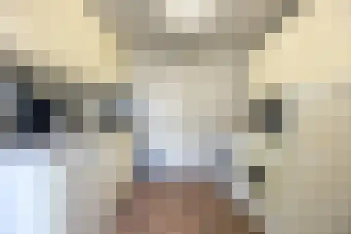 Berkenlaan 5 Halsteren thumbnail 16