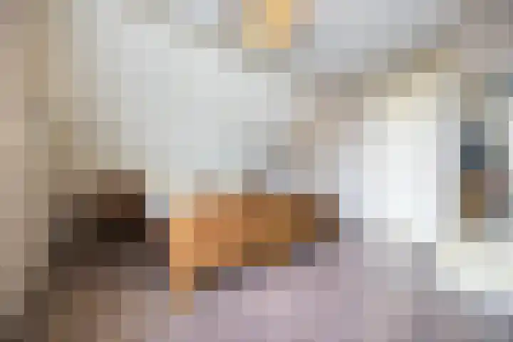 Berkenlaan 5 Halsteren thumbnail 20