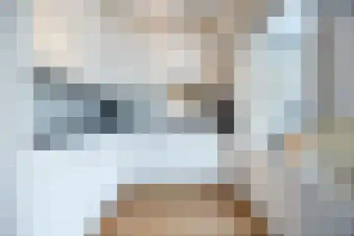 Berkenlaan 5 Halsteren thumbnail 4