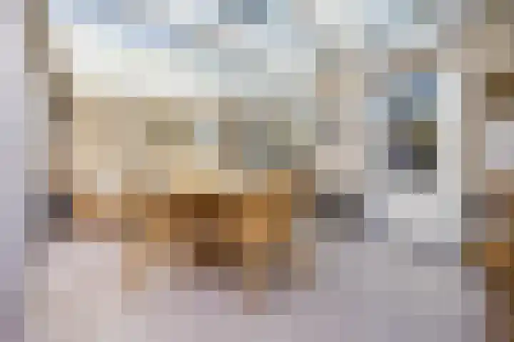 Berkenlaan 5 Halsteren thumbnail 5