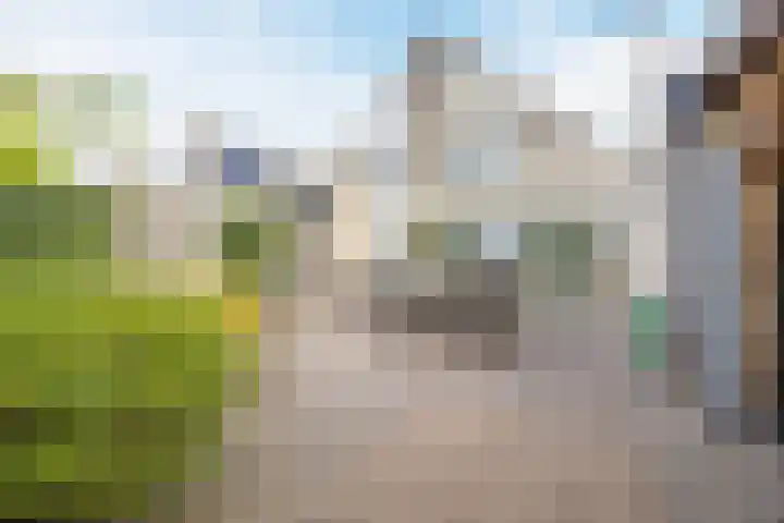 Berkenlaan 5 Halsteren thumbnail 7
