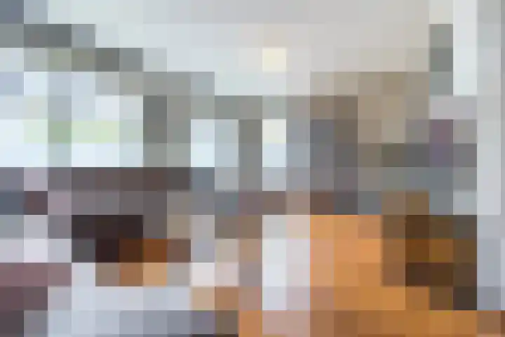 Berkenlaan 5 Halsteren thumbnail 9