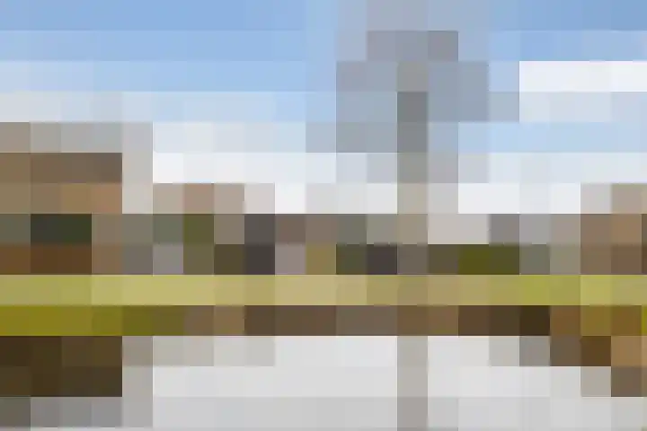 Berkenlaan 5 Kamerik foto 2