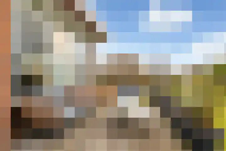 Berkenlaan 5 Kamerik thumbnail 20