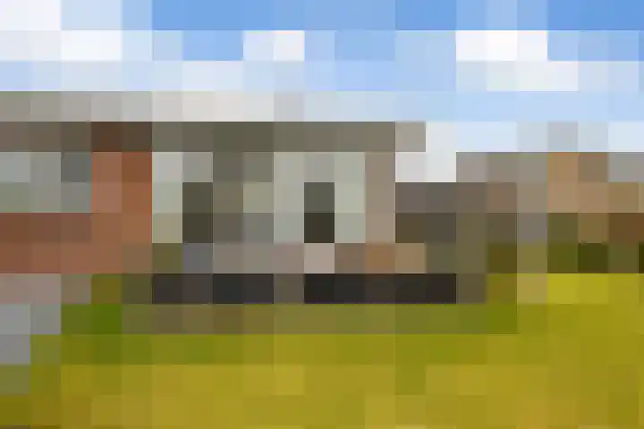 Berkenlaan 5 Kamerik thumbnail 22
