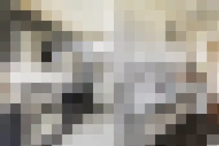 Berkenlaan 5 Kamerik thumbnail 26
