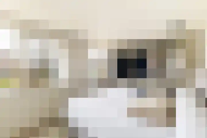 Berkenlaan 5 Kamerik thumbnail 27