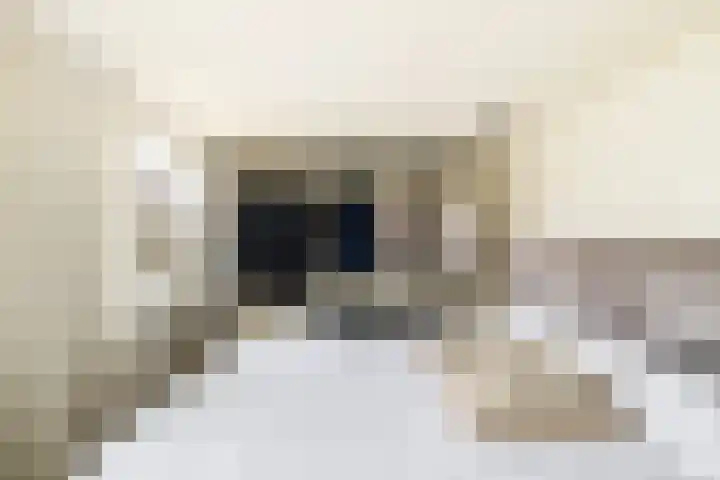 Berkenlaan 5 Kamerik thumbnail 28