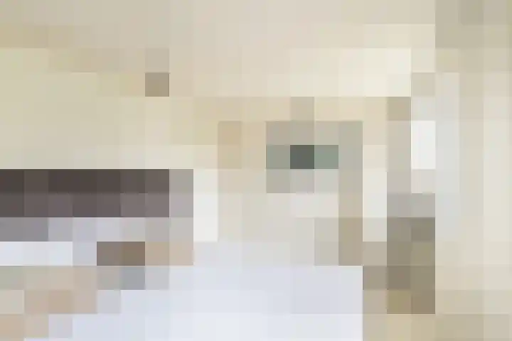 Berkenlaan 5 Kamerik thumbnail 29