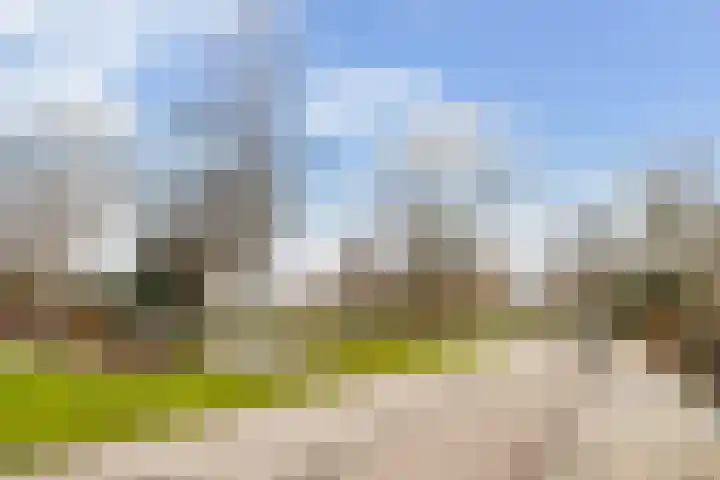 Berkenlaan 5 Kamerik foto 3