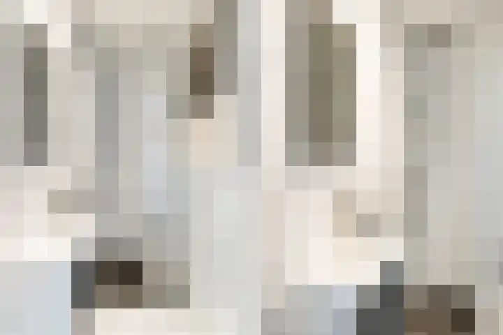 Berkenlaan 5 Kamerik thumbnail 30