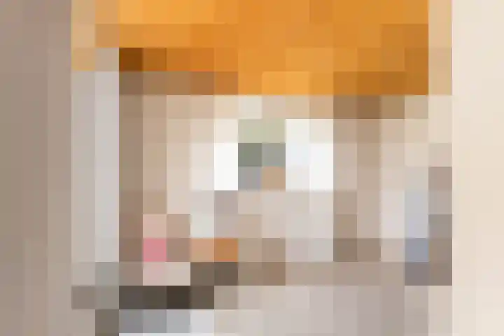 Berkenlaan 5 Kamerik thumbnail 31