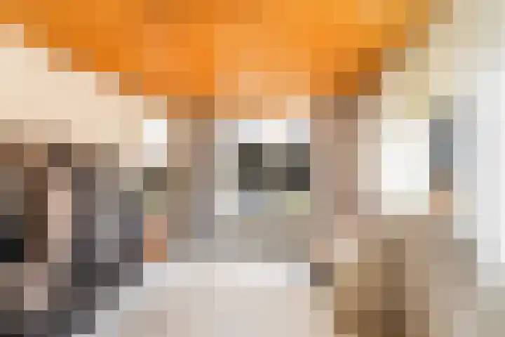 Berkenlaan 5 Kamerik thumbnail 33