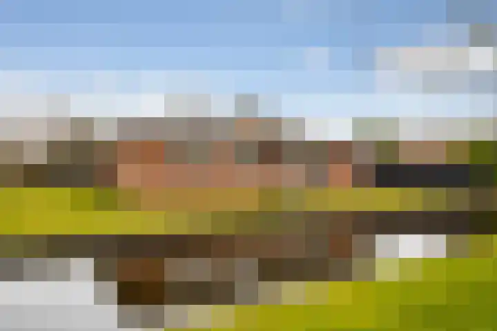 Berkenlaan 5 Kamerik thumbnail 38