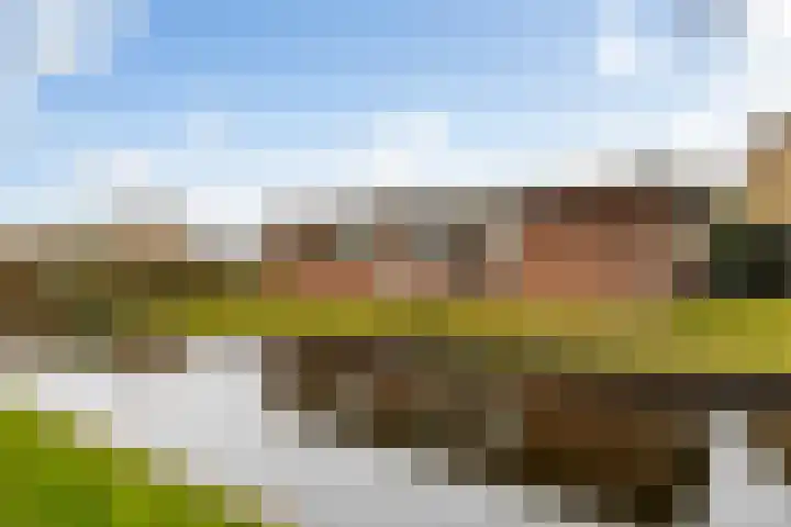 Berkenlaan 5 Kamerik thumbnail 39