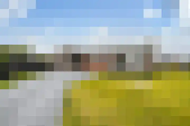 Berkenlaan 5 Kamerik thumbnail 4