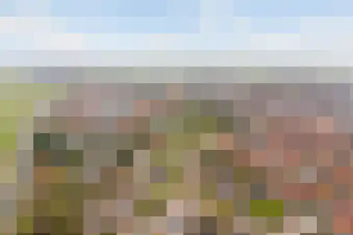 Berkenlaan 5 Kamerik thumbnail 40