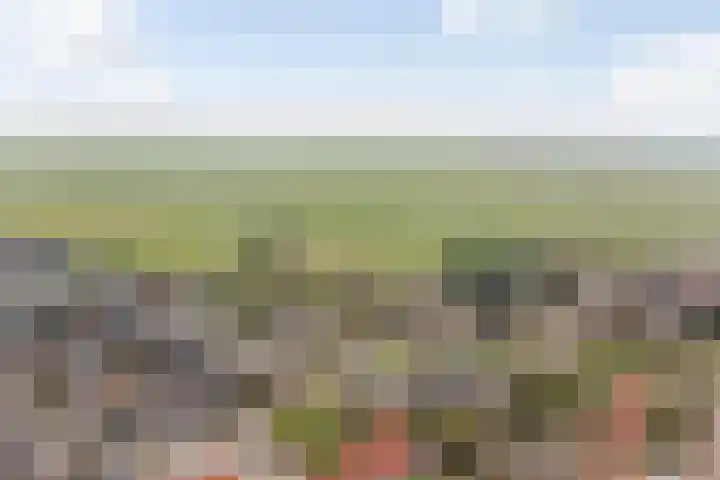 Berkenlaan 5 Kamerik thumbnail 41