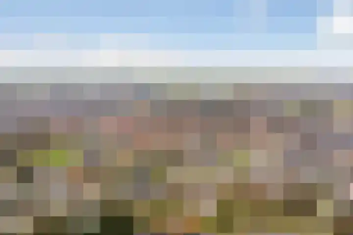 Berkenlaan 5 Kamerik thumbnail 42