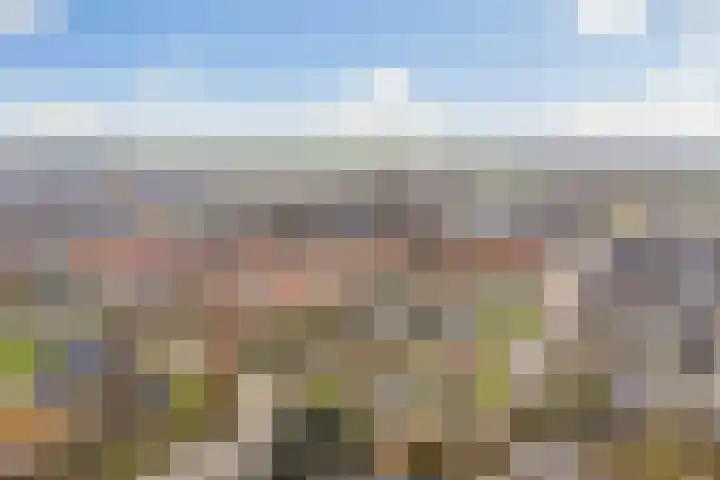 Berkenlaan 5 Kamerik thumbnail 43