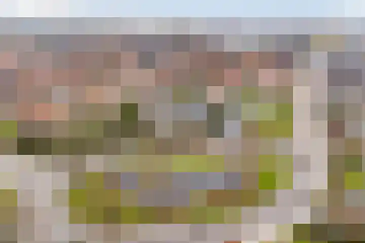 Berkenlaan 5 Kamerik thumbnail 44