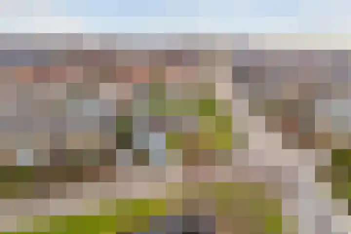 Berkenlaan 5 Kamerik thumbnail 45