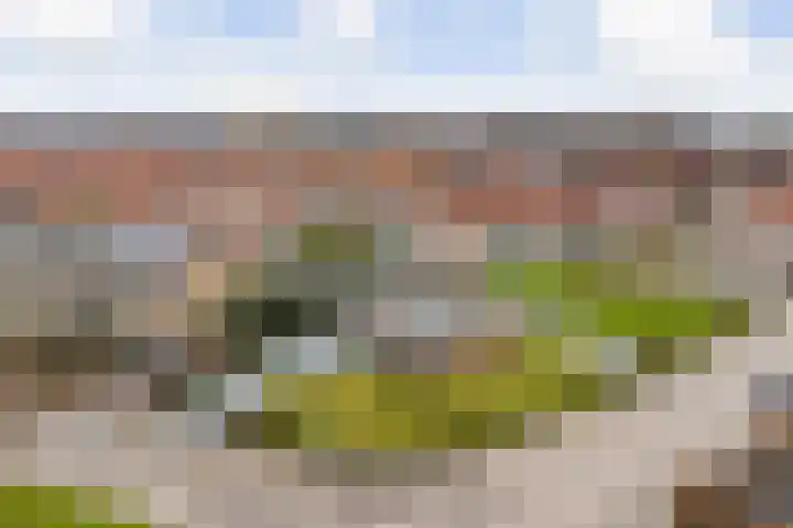 Berkenlaan 5 Kamerik thumbnail 46