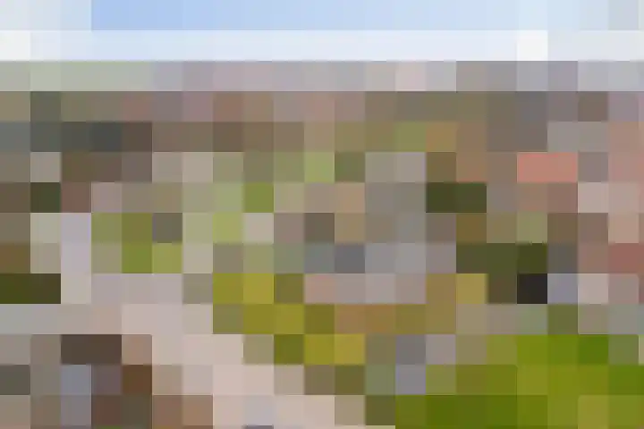 Berkenlaan 5 Kamerik thumbnail 47
