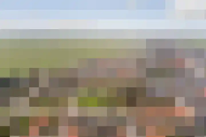 Berkenlaan 5 Kamerik thumbnail 48
