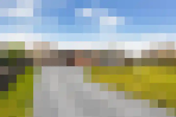 Berkenlaan 5 Kamerik thumbnail 5