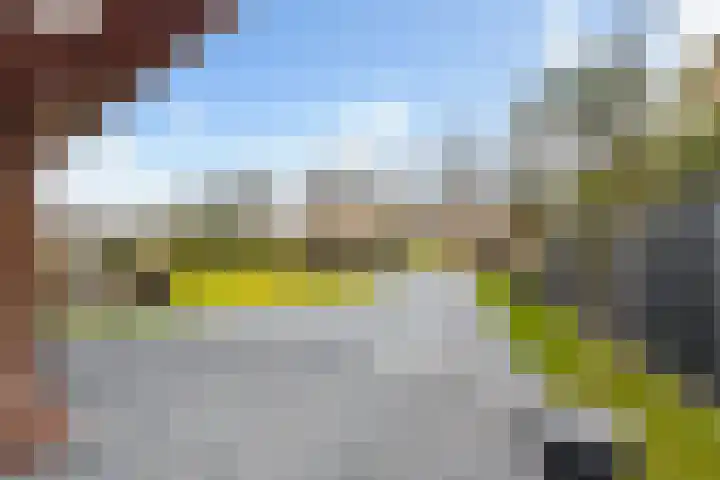 Berkenlaan 5 Kamerik thumbnail 6
