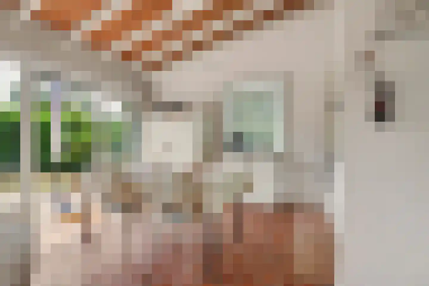 Berkenlaan 5 Kamperland thumbnail 10
