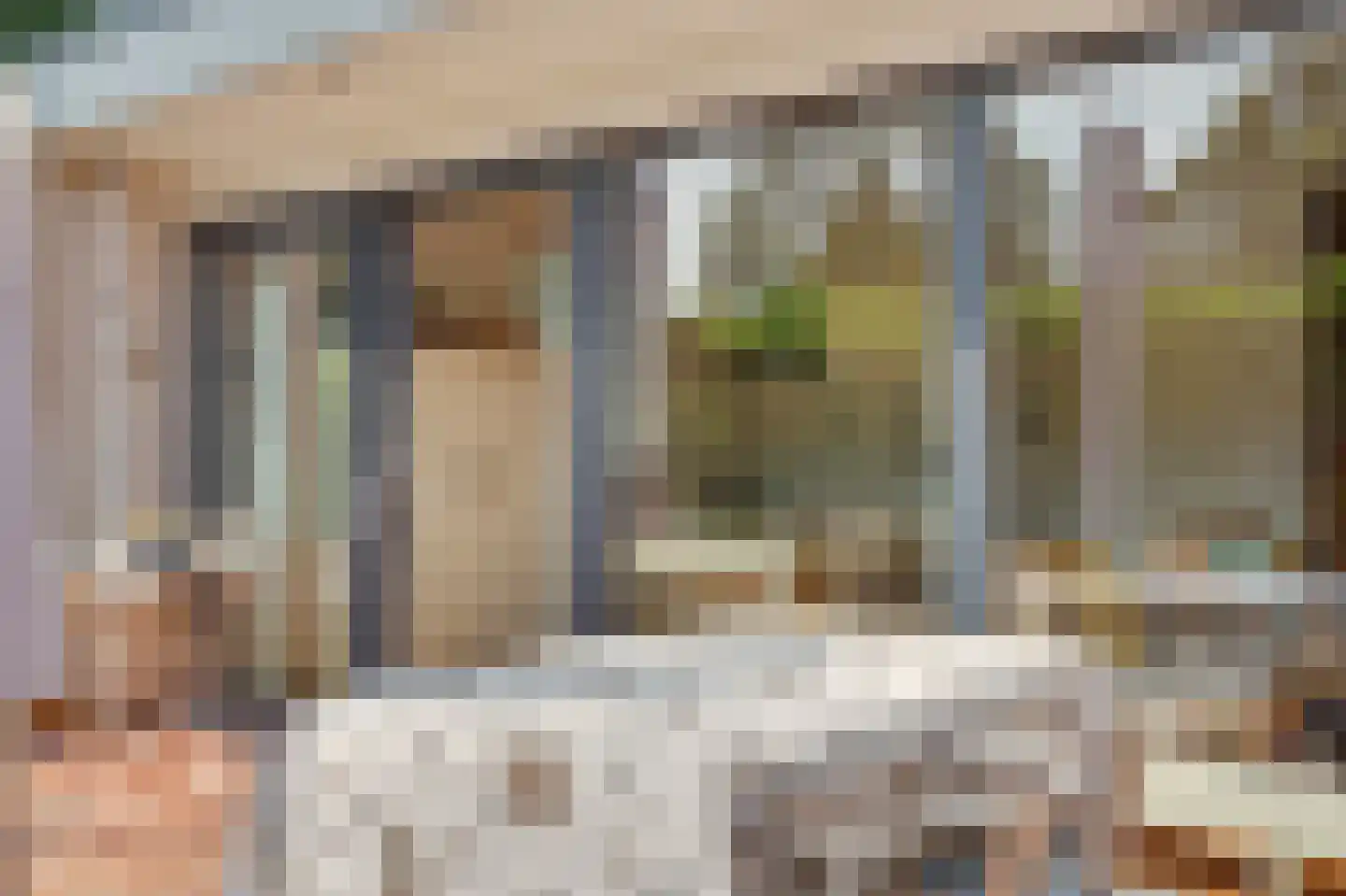 Berkenlaan 5 Kamperland thumbnail 16
