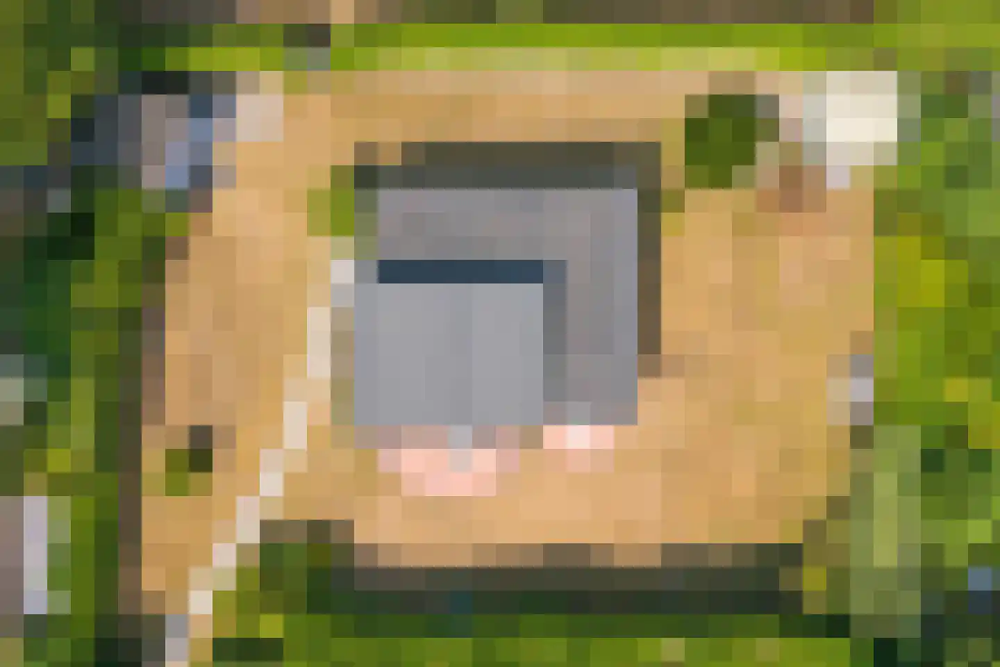 Berkenlaan 5 Kamperland thumbnail 22