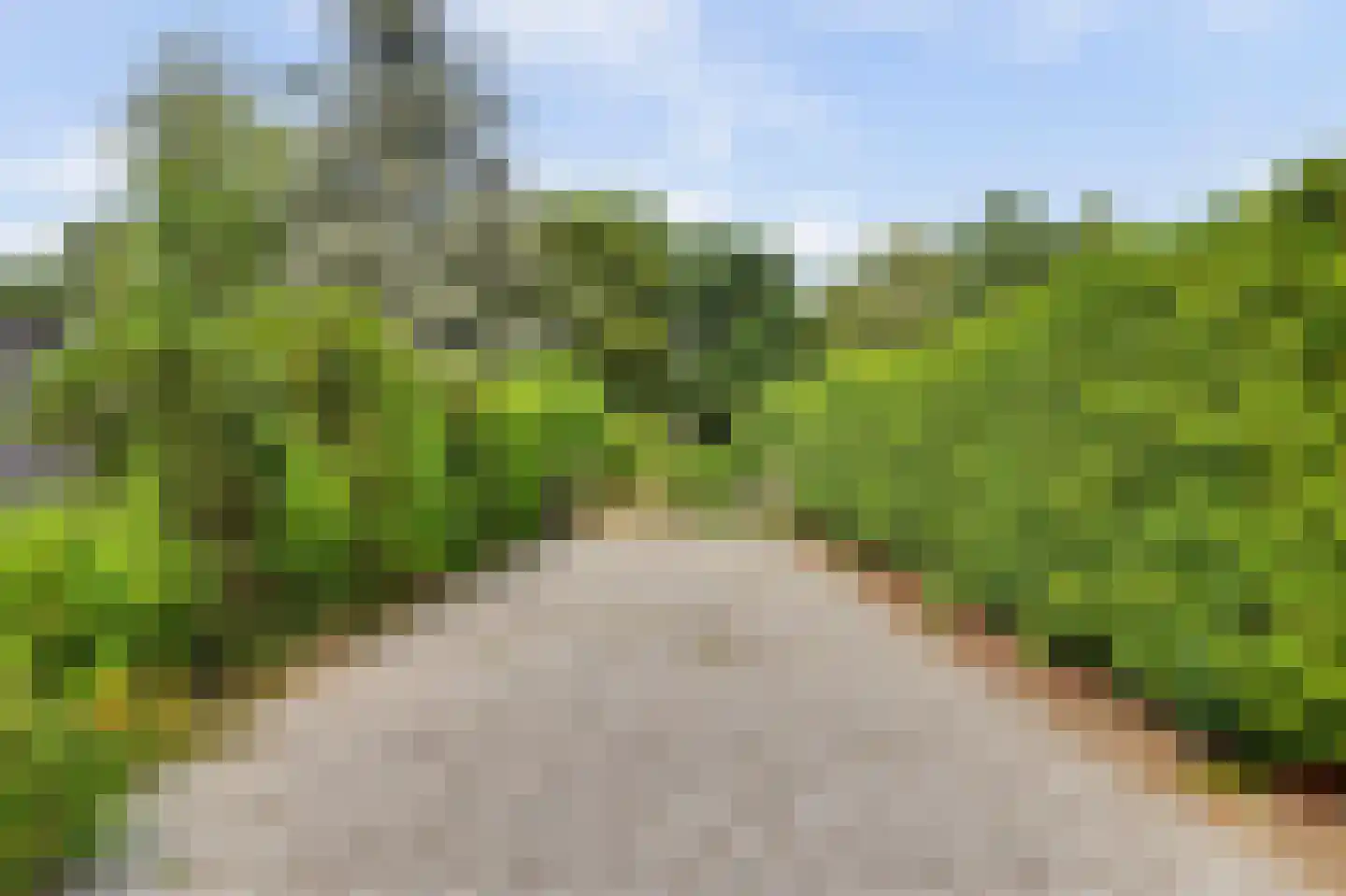 Berkenlaan 5 Kamperland thumbnail 5