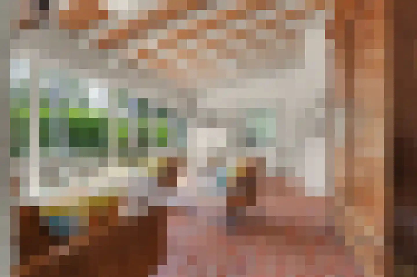 Berkenlaan 5 Kamperland thumbnail 8