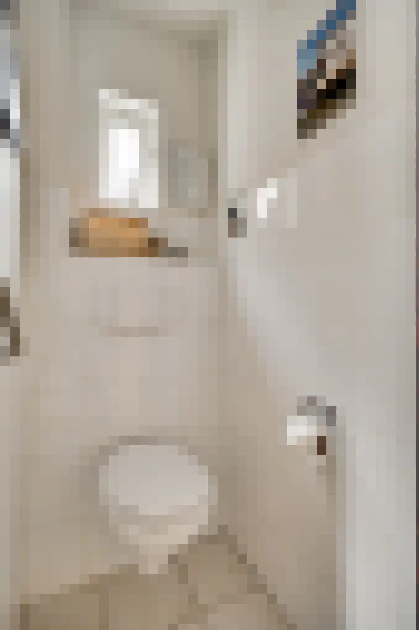 Berkenlaan 5 Neer thumbnail 10