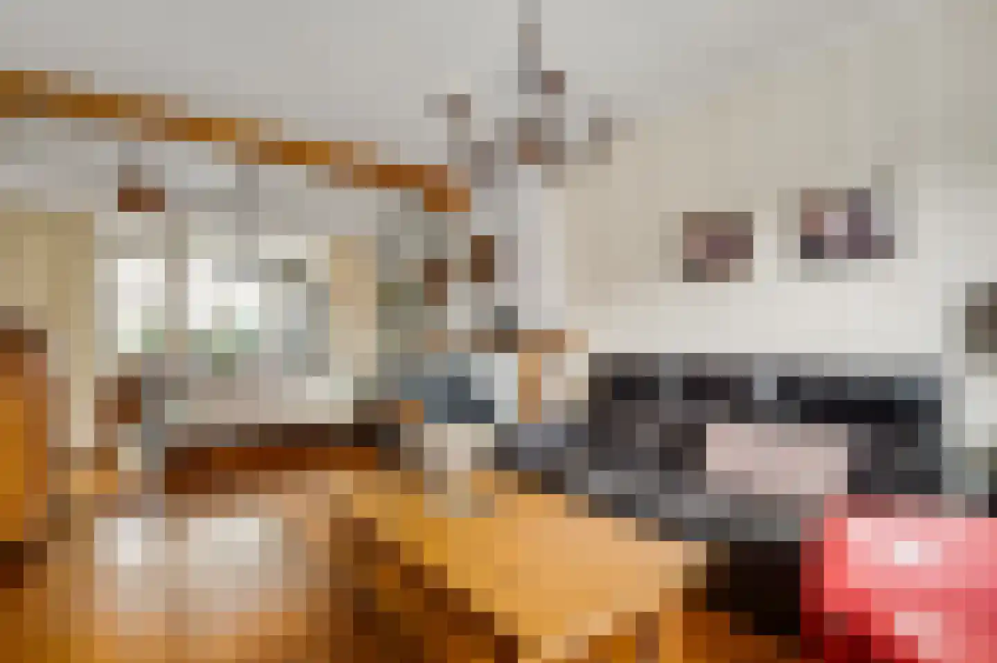 Berkenlaan 5 Neer thumbnail 11