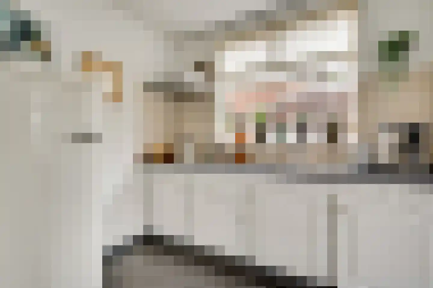 Berkenlaan 5 Neer thumbnail 14