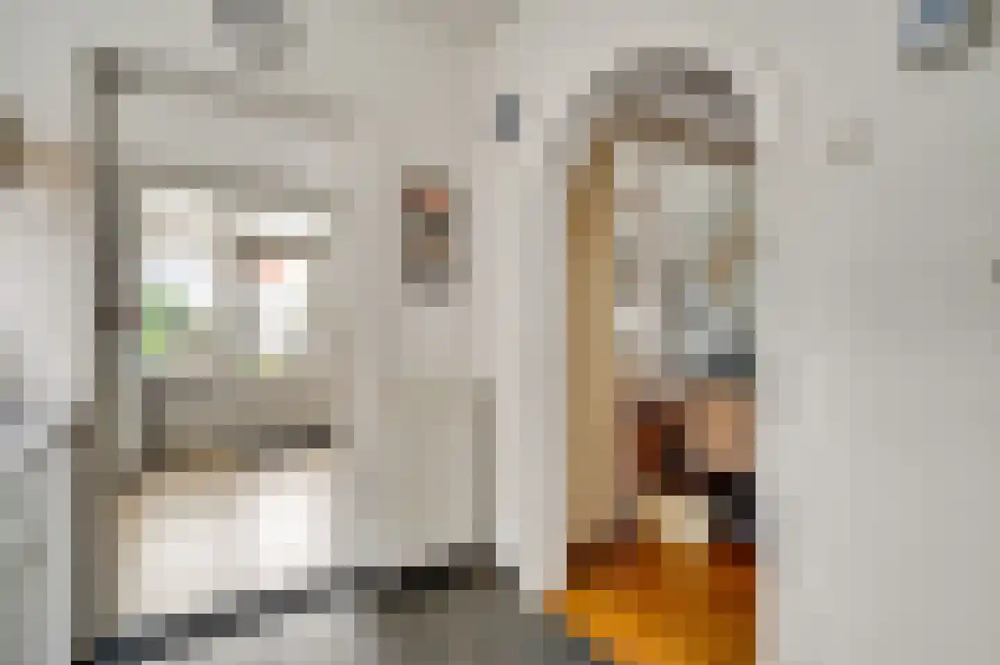 Berkenlaan 5 Neer thumbnail 15