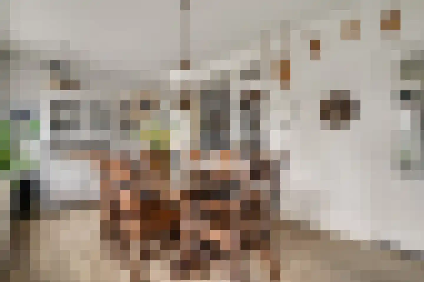 Berkenlaan 5 Neer thumbnail 17
