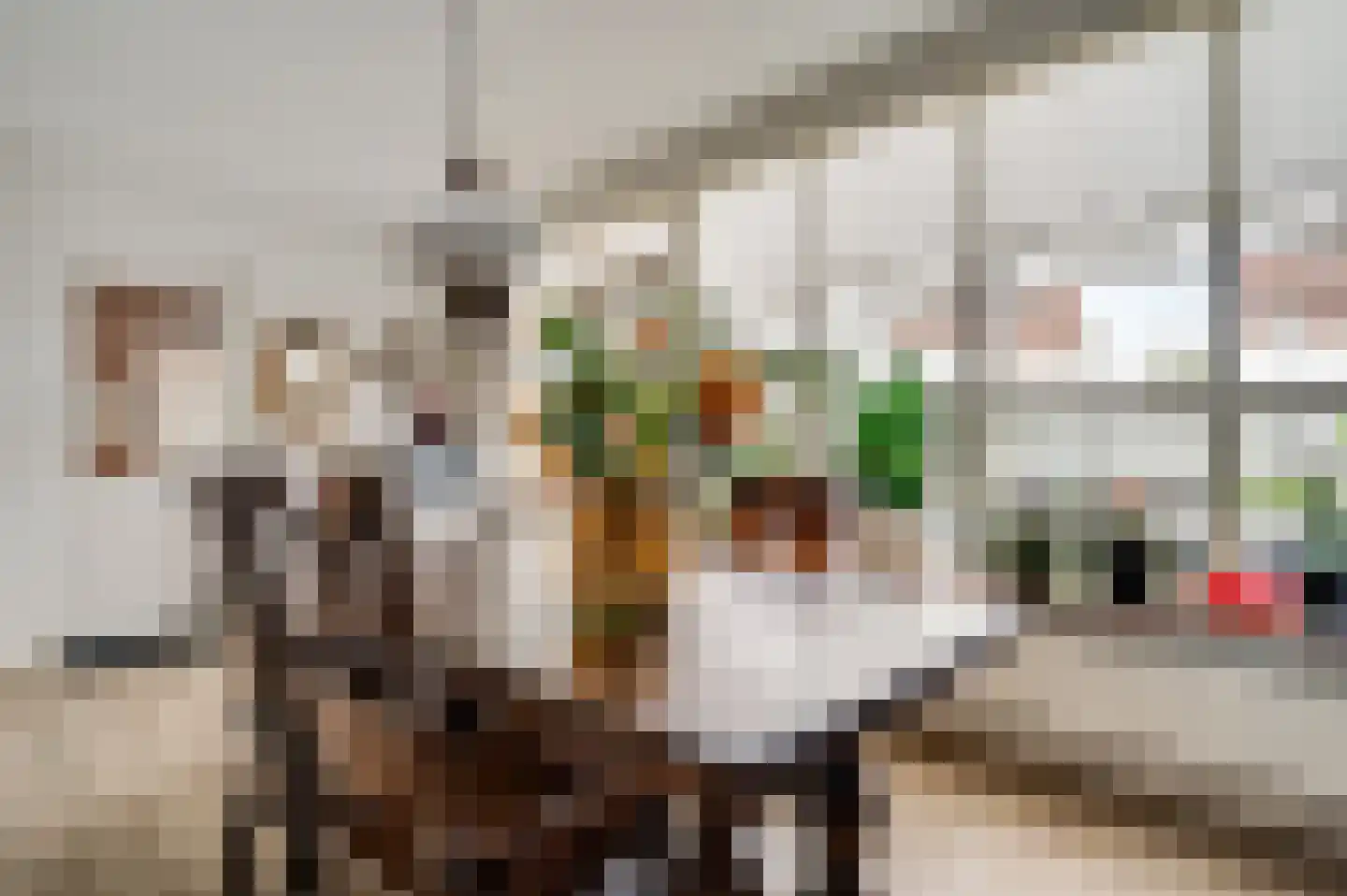 Berkenlaan 5 Neer thumbnail 18
