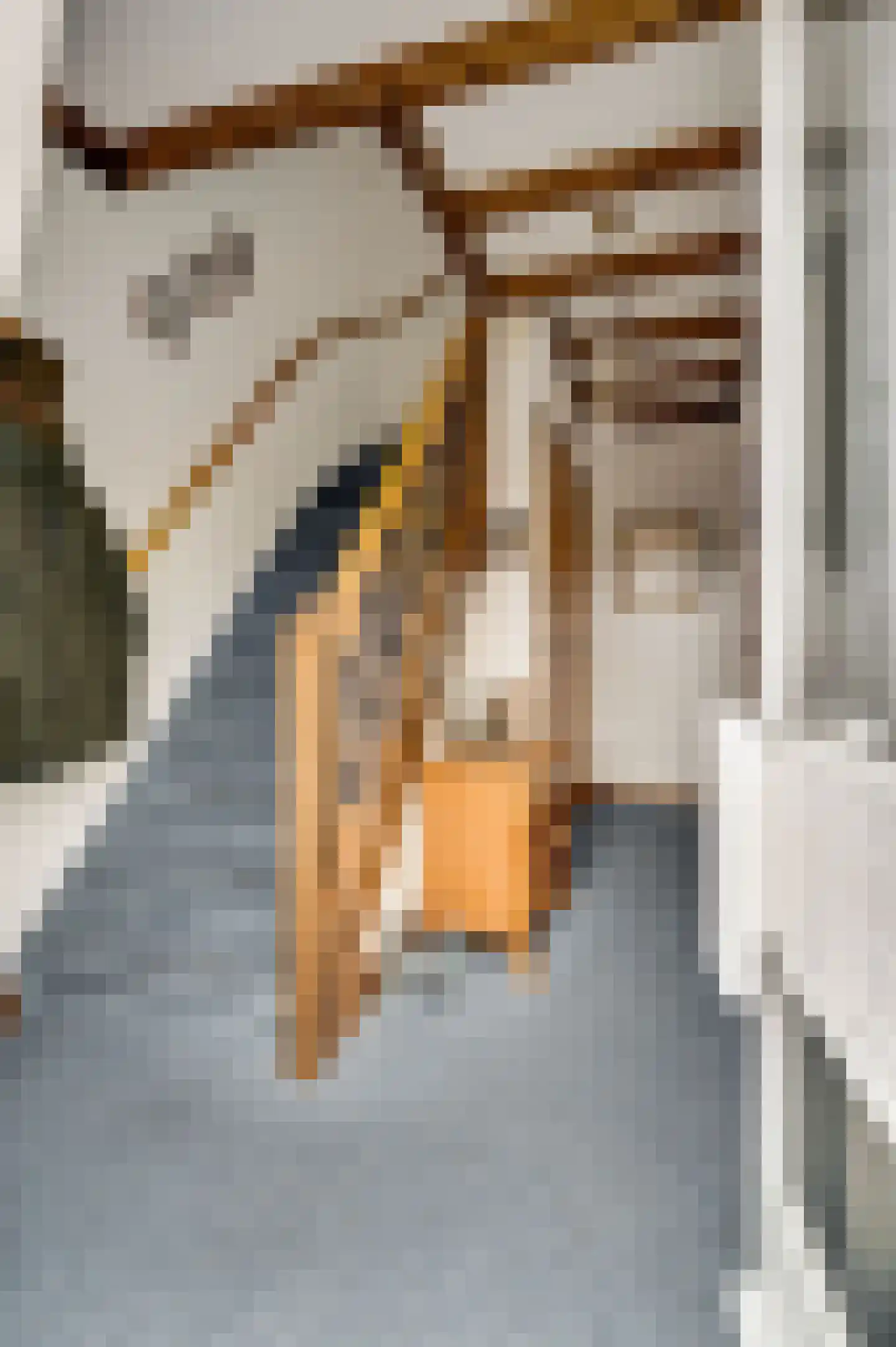 Berkenlaan 5 Neer thumbnail 8