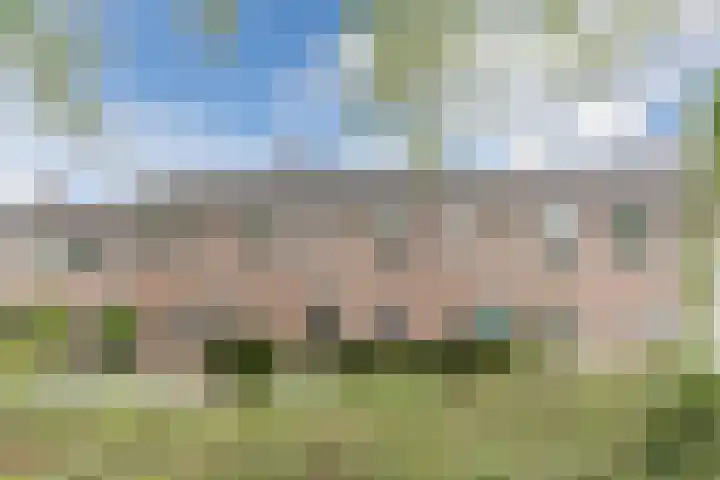 Berkenlaan 5 Nieuwleusen