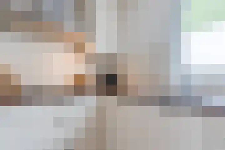 Berkenlaan 5 Nieuwleusen thumbnail 11