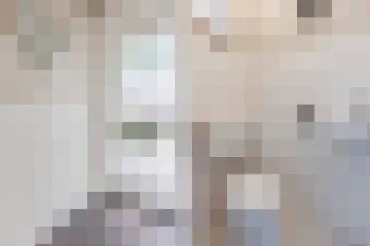 Berkenlaan 5 Nieuwleusen thumbnail 12