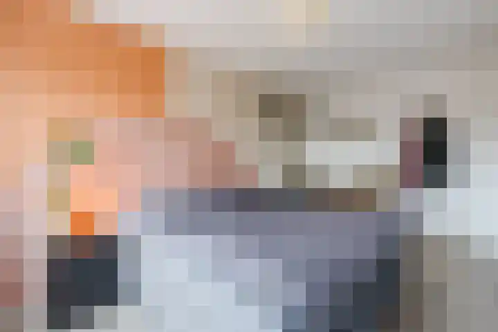 Berkenlaan 5 Nieuwleusen thumbnail 17