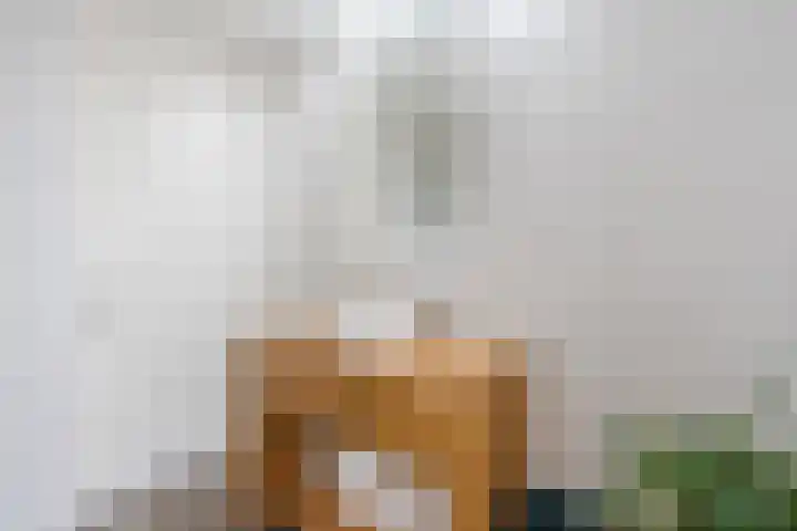 Berkenlaan 5 Nieuwleusen thumbnail 19