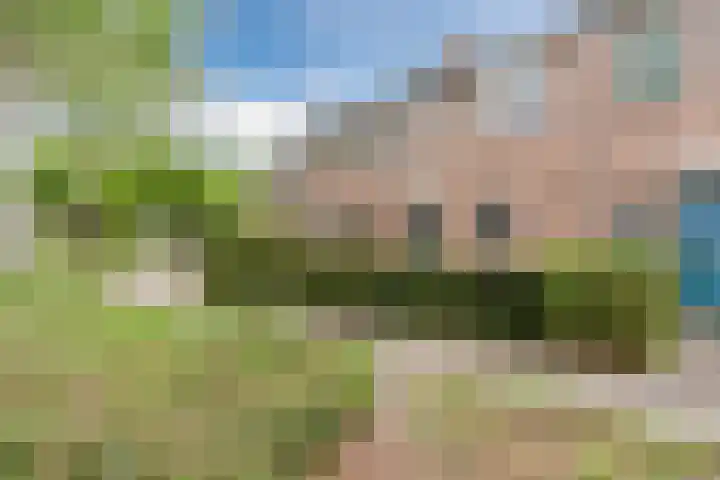 Berkenlaan 5 Nieuwleusen foto 2